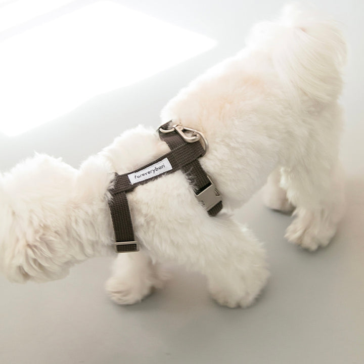 ※予約販売【foreverybari】Classic Pet Harness（Black）