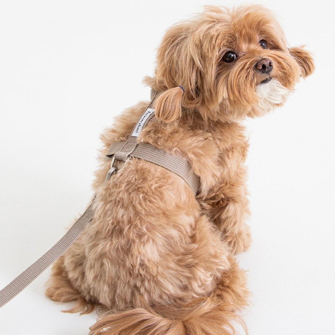即納【foreverybari】Classic Pet Harness（Beige）