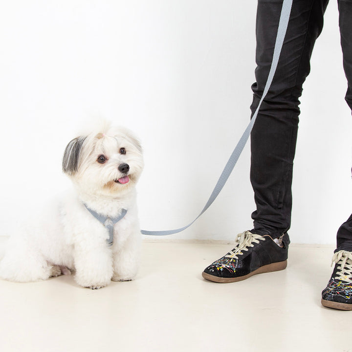 ※予約販売【foreverybari】Classic Pet Harness（Ice Gray）