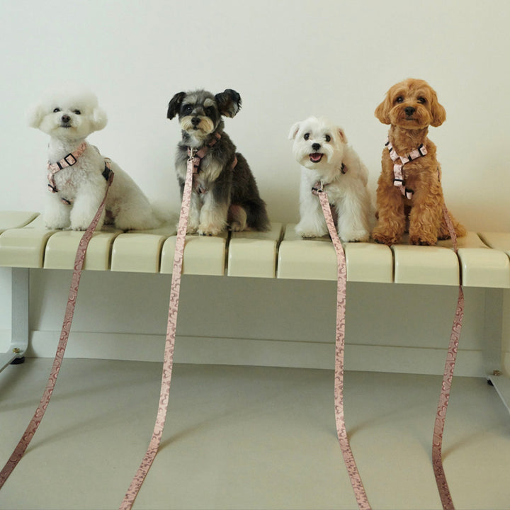 ※予約販売【foreverybari】Marble Heart Pet Harness（Strawberry）