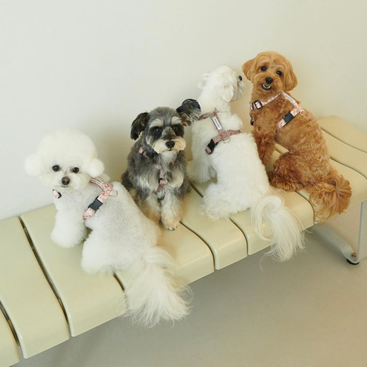 ※予約販売【foreverybari】Marble Heart Pet Harness（Strawberry）