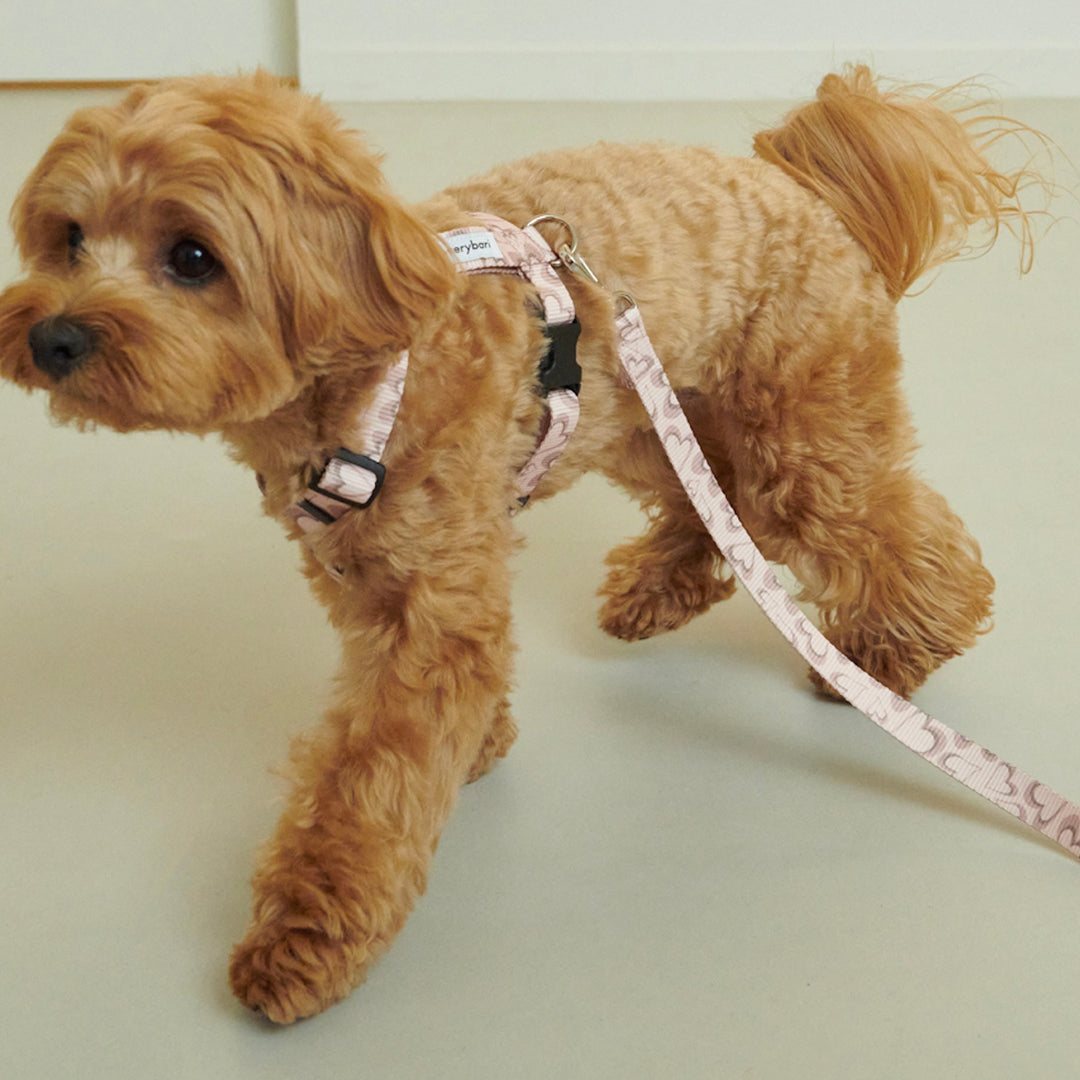 ※予約販売【foreverybari】Marble Heart Pet Harness（Strawberry）