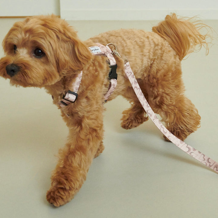 ※予約販売【foreverybari】Marble Heart Pet Harness（Strawberry）