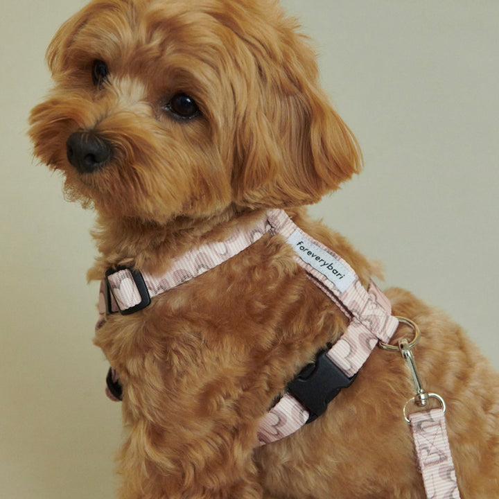 ※予約販売【foreverybari】Marble Heart Pet Harness（Strawberry）