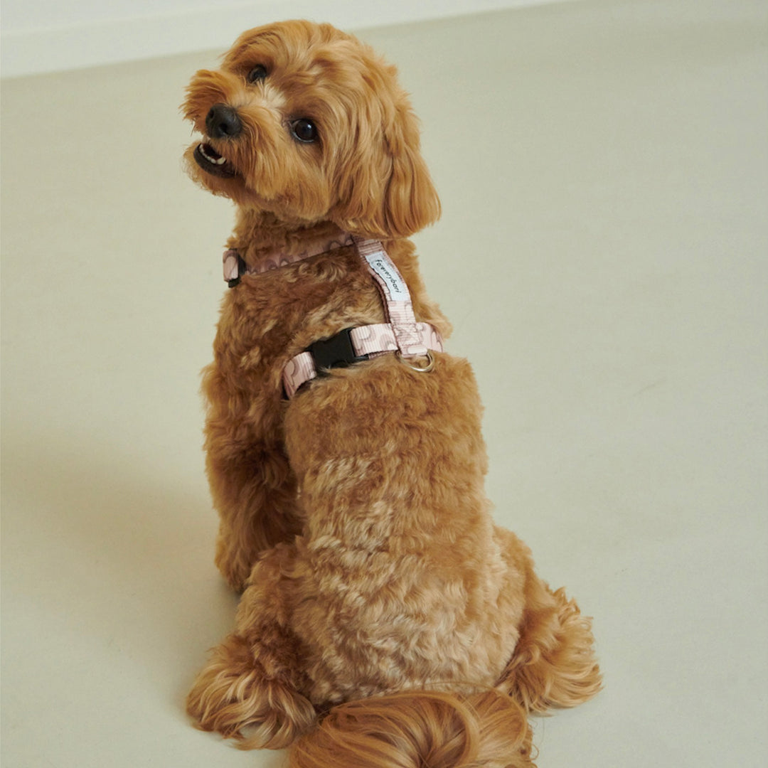 ※予約販売【foreverybari】Marble Heart Pet Harness（Strawberry）