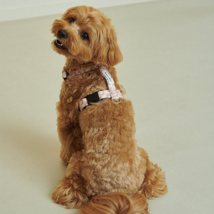 ※予約販売【foreverybari】Marble Heart Pet Harness（Strawberry）