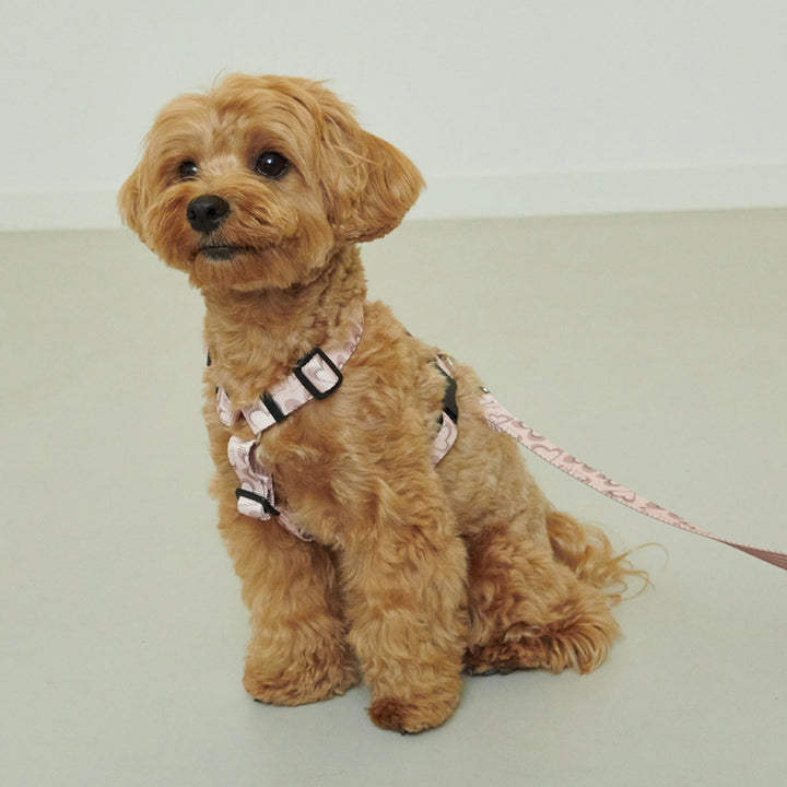 ※予約販売【foreverybari】Marble Heart Pet Harness（Strawberry）