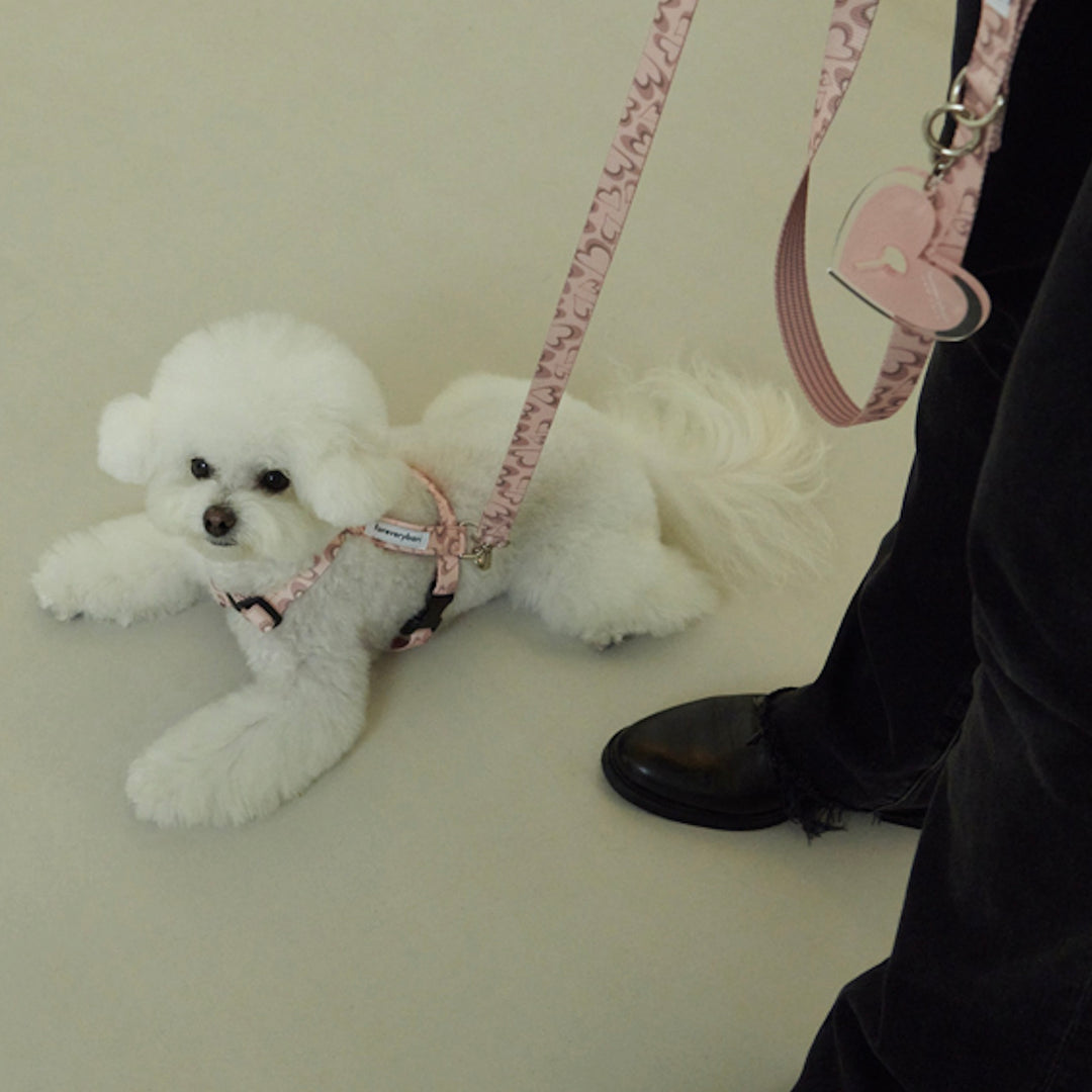 ※予約販売【foreverybari】Marble Heart Pet Harness（Strawberry）
