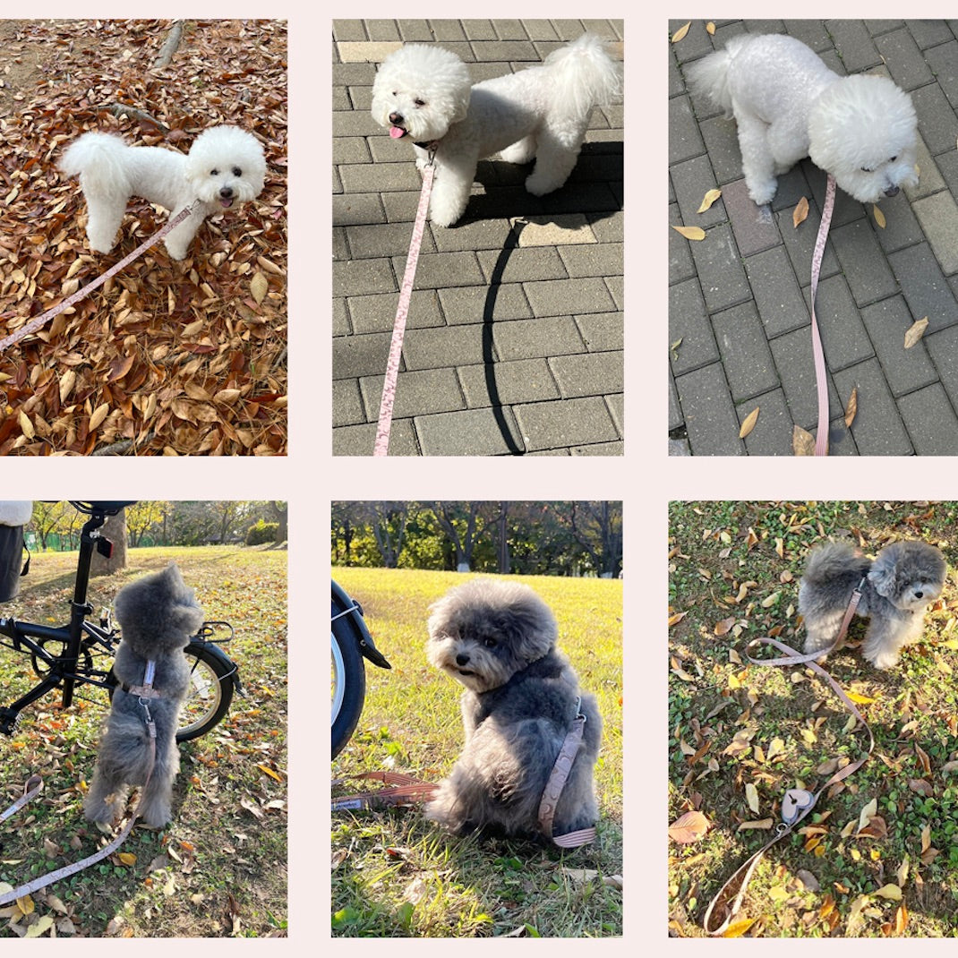 ※予約販売【foreverybari】Marble Heart Pet Harness（Strawberry）