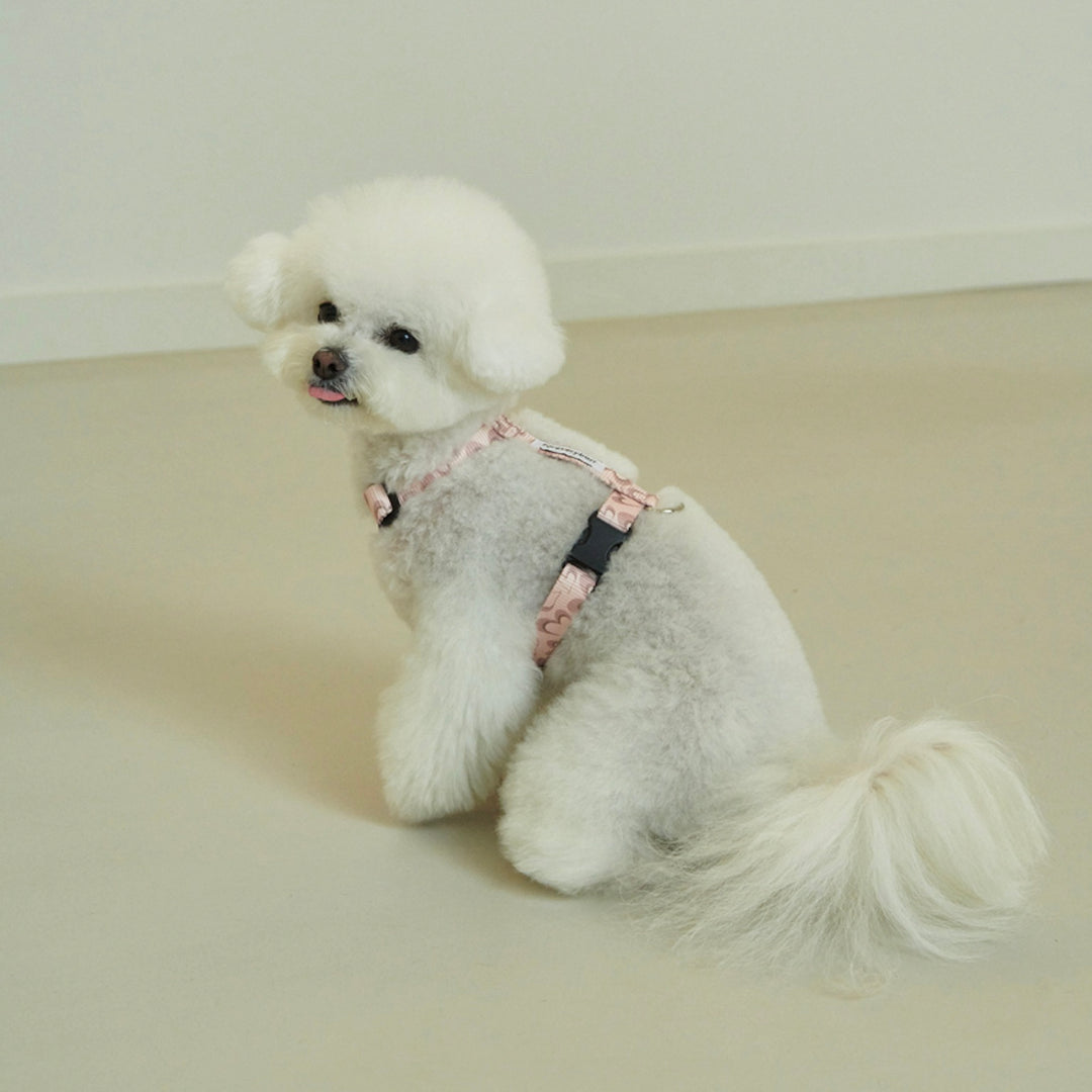 ※予約販売【foreverybari】Marble Heart Pet Harness（Strawberry）