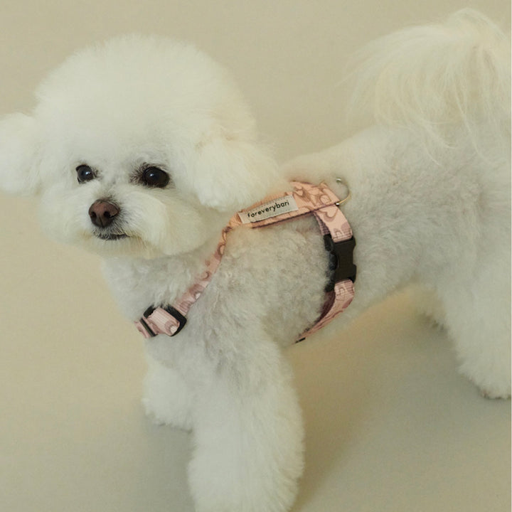 ※予約販売【foreverybari】Marble Heart Pet Harness（Strawberry）