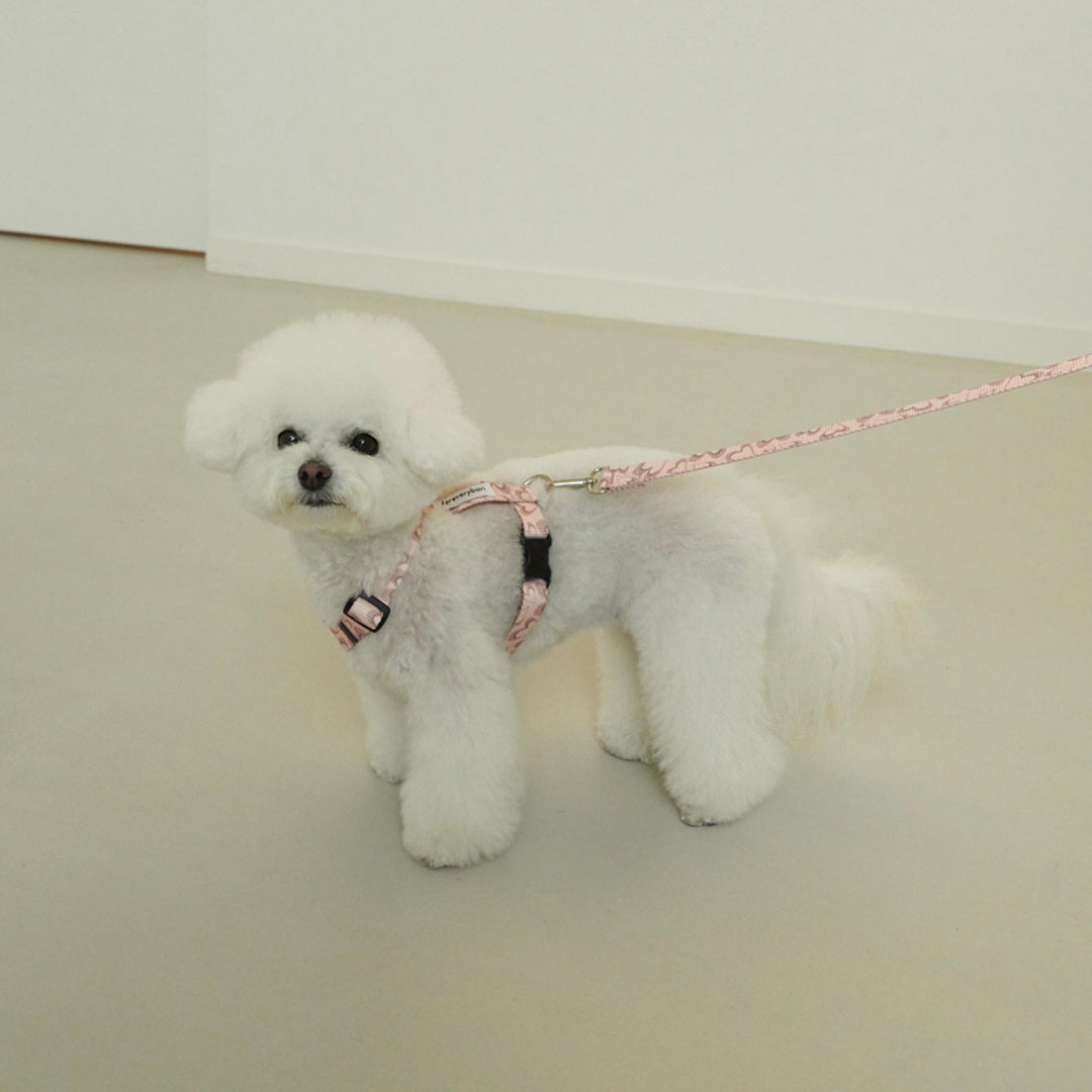 ※予約販売【foreverybari】Marble Heart Pet Harness（Strawberry）