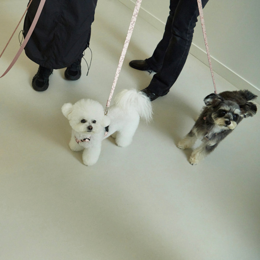 ※予約販売【foreverybari】Marble Heart Pet Harness（Chocolate）