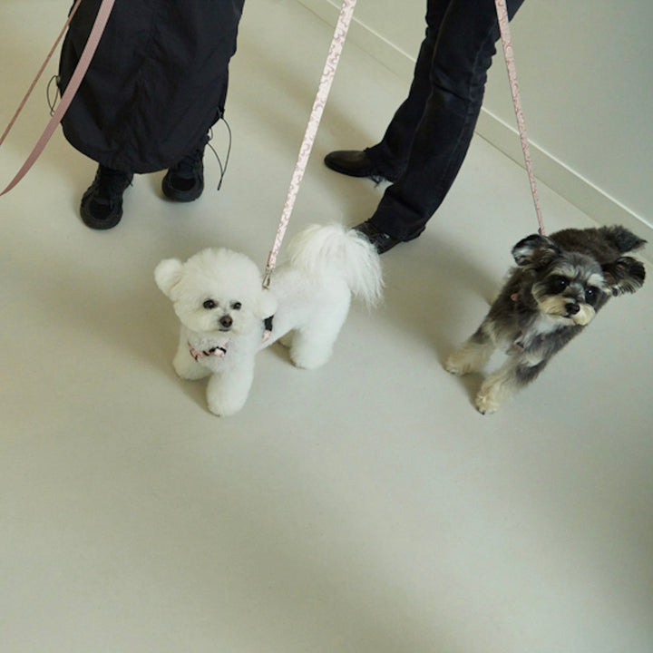 ※予約販売【foreverybari】Marble Heart Pet Harness（Chocolate）