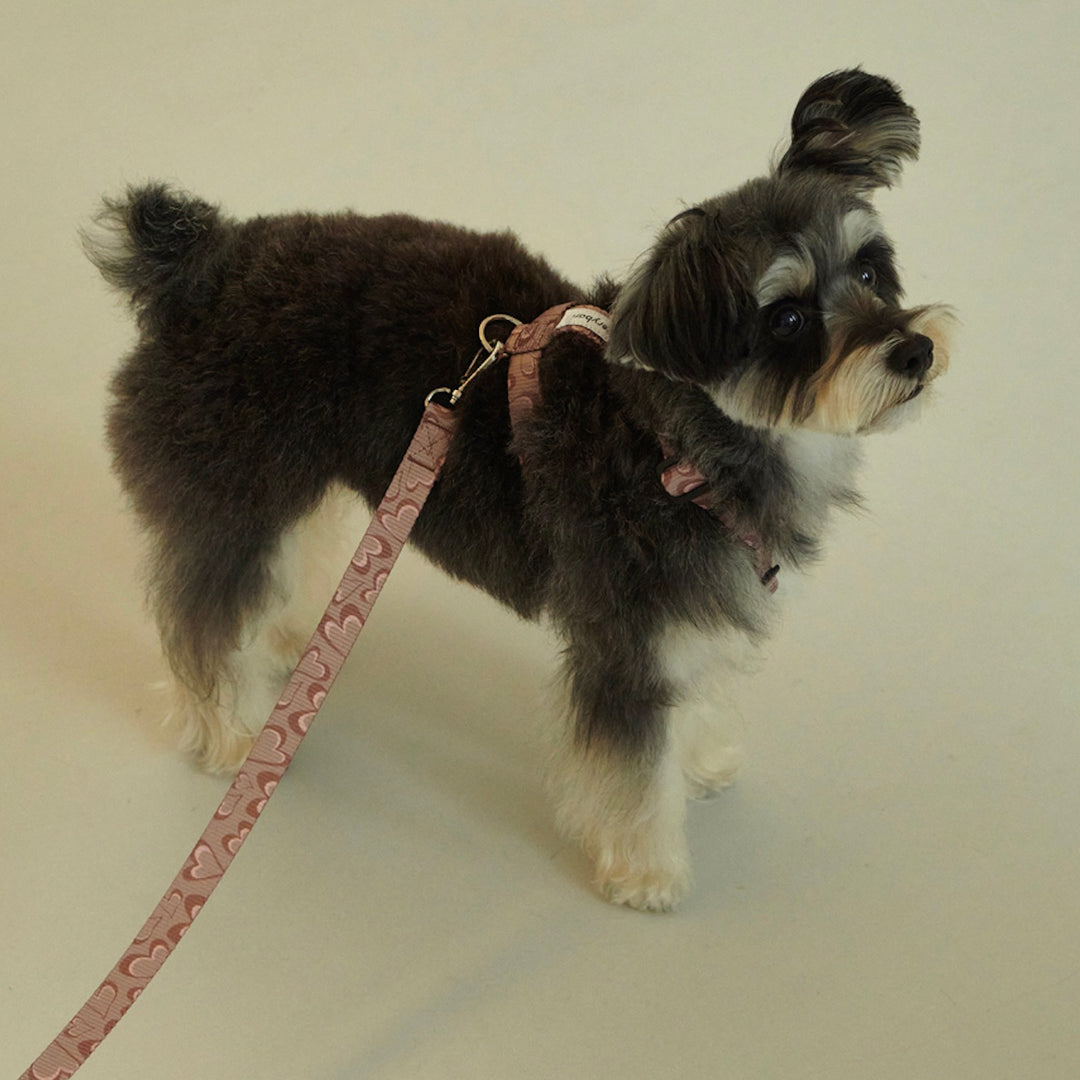 ※予約販売【foreverybari】Marble Heart Pet Harness（Chocolate）