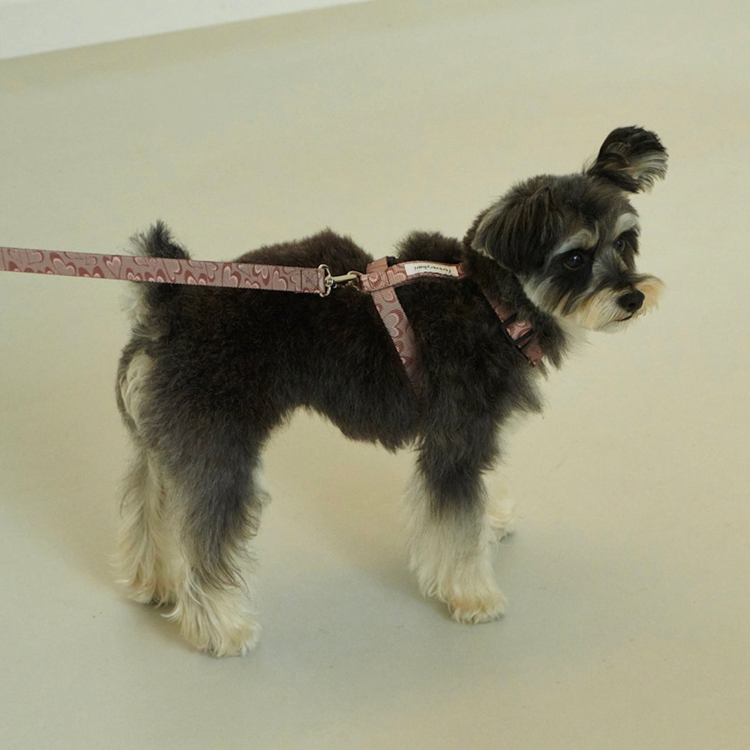 ※予約販売【foreverybari】Marble Heart Pet Harness（Chocolate）