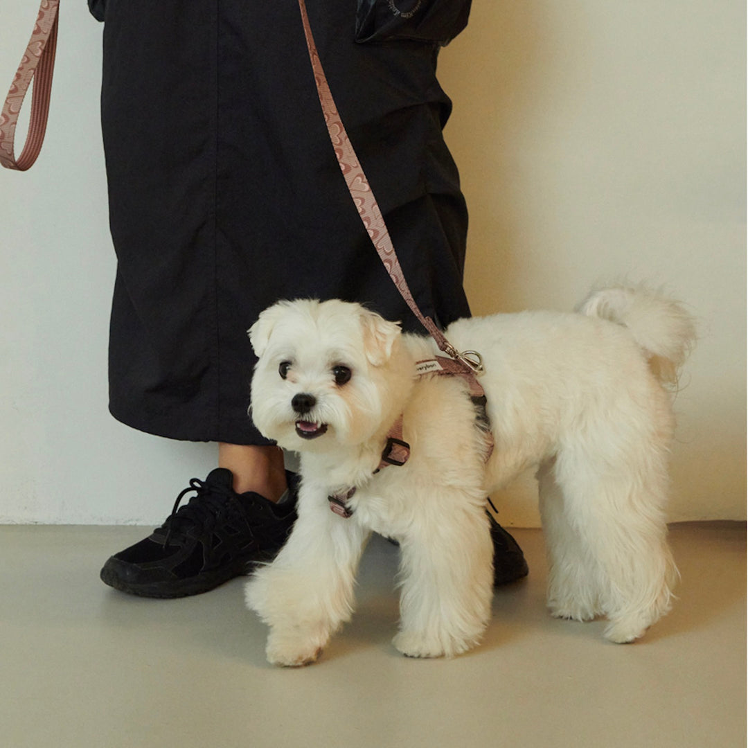 ※予約販売【foreverybari】Marble Heart Pet Harness（Chocolate）