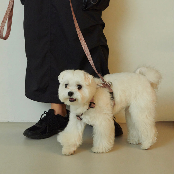 ※予約販売【foreverybari】Marble Heart Pet Harness（Chocolate）