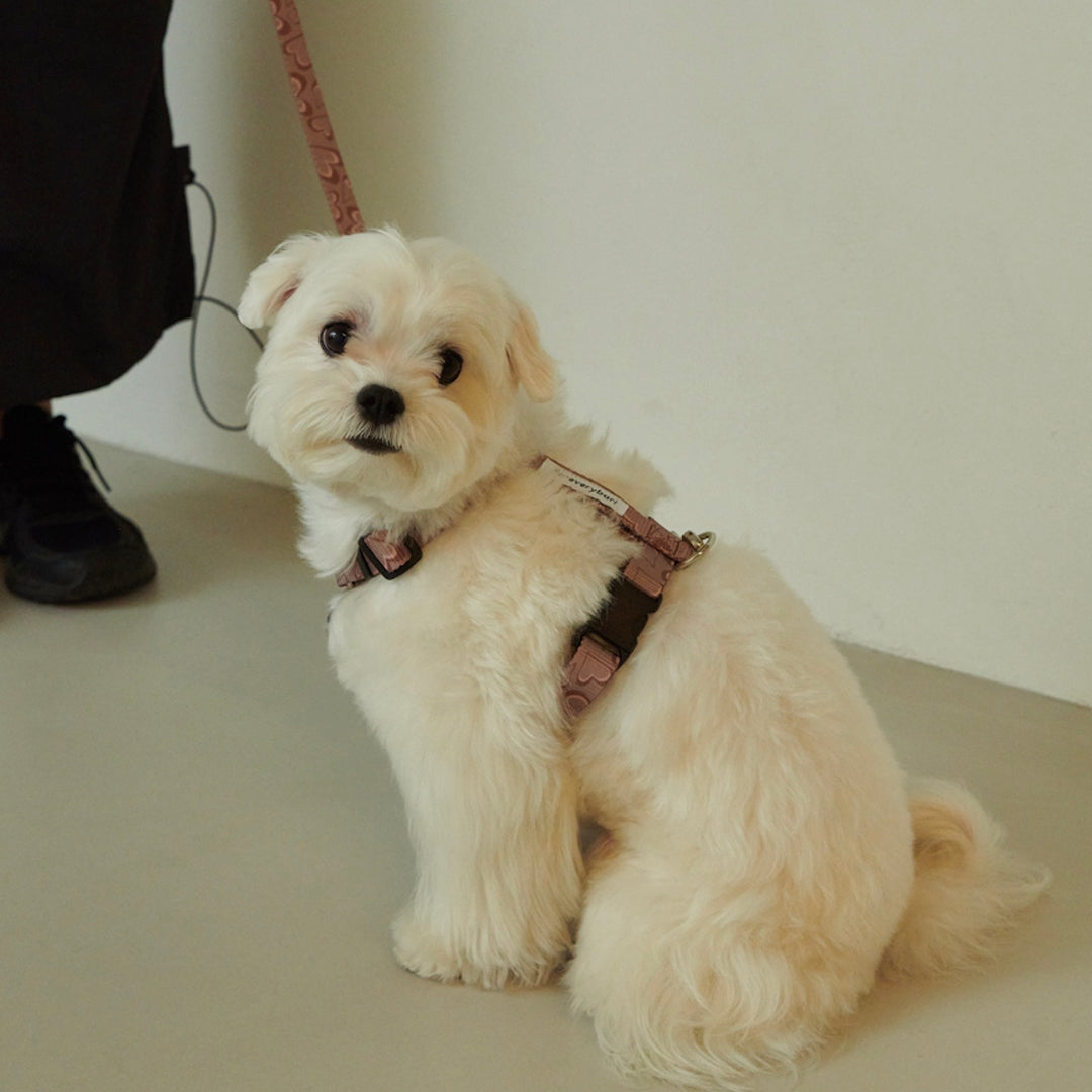 ※予約販売【foreverybari】Marble Heart Pet Harness（Chocolate）