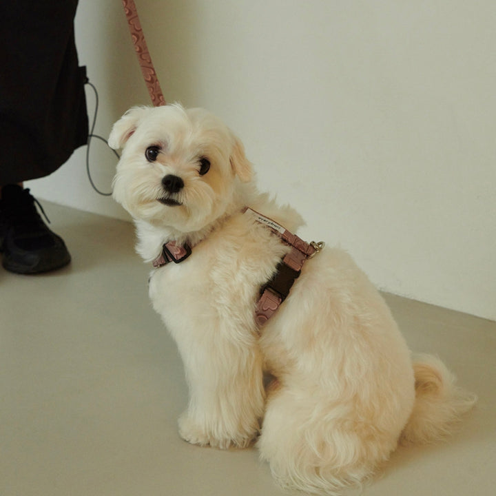 ※予約販売【foreverybari】Marble Heart Pet Harness（Chocolate）