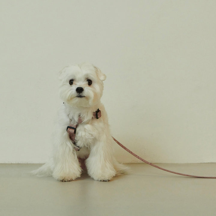 ※予約販売【foreverybari】Marble Heart Pet Harness（Chocolate）