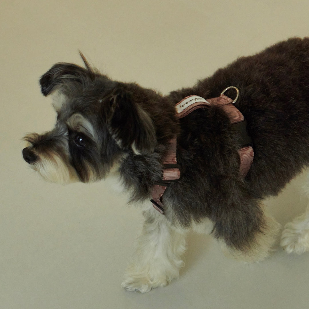 ※予約販売【foreverybari】Marble Heart Pet Harness（Chocolate）