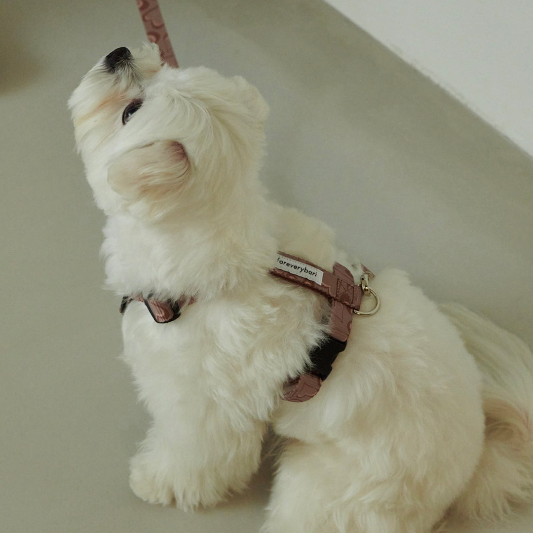 ※予約販売【foreverybari】Marble Heart Pet Harness（Chocolate）