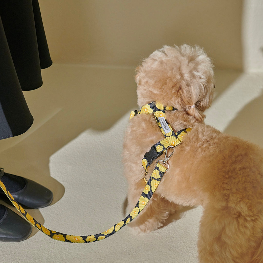 ※予約販売【foreverybari】PENSÉE Pet Harness（Yellow）