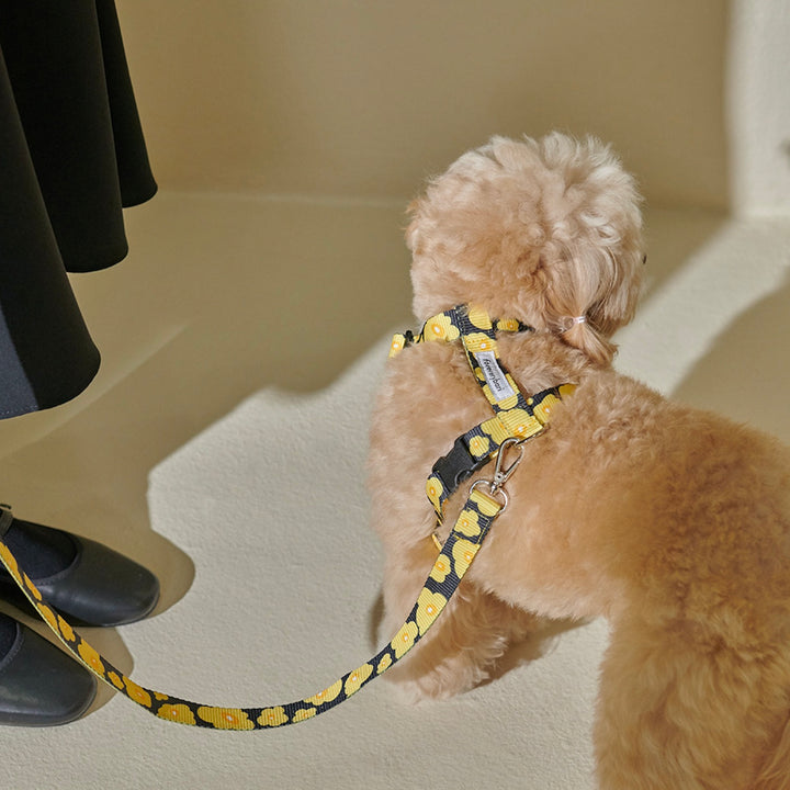 ※予約販売【foreverybari】PENSÉE Pet Harness（Yellow）