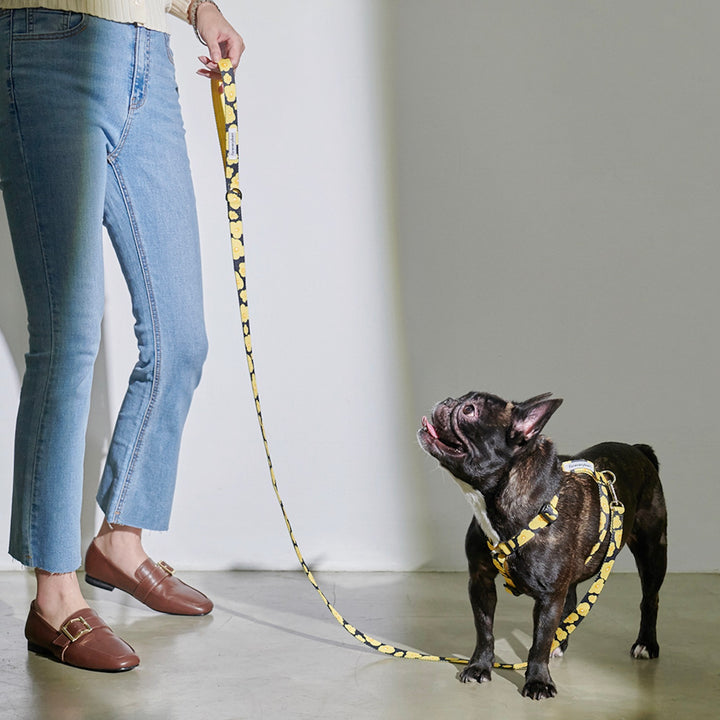 ※予約販売【foreverybari】PENSÉE Pet Harness（Yellow）
