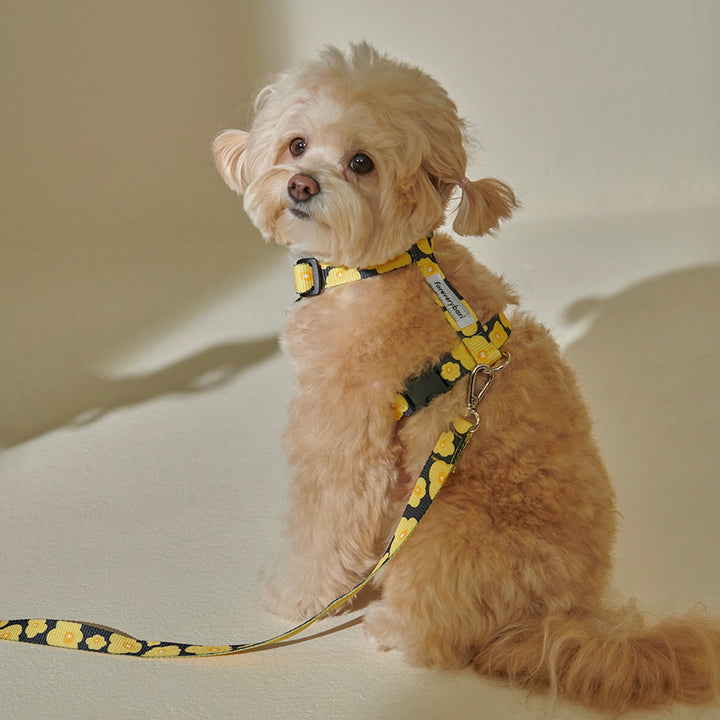 ※予約販売【foreverybari】PENSÉE Pet Harness（Yellow）