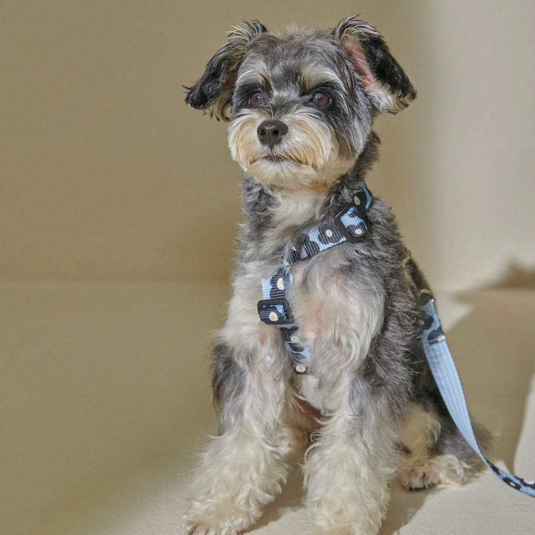 即納【foreverybari】PENSÉE Pet Harness（Blue）