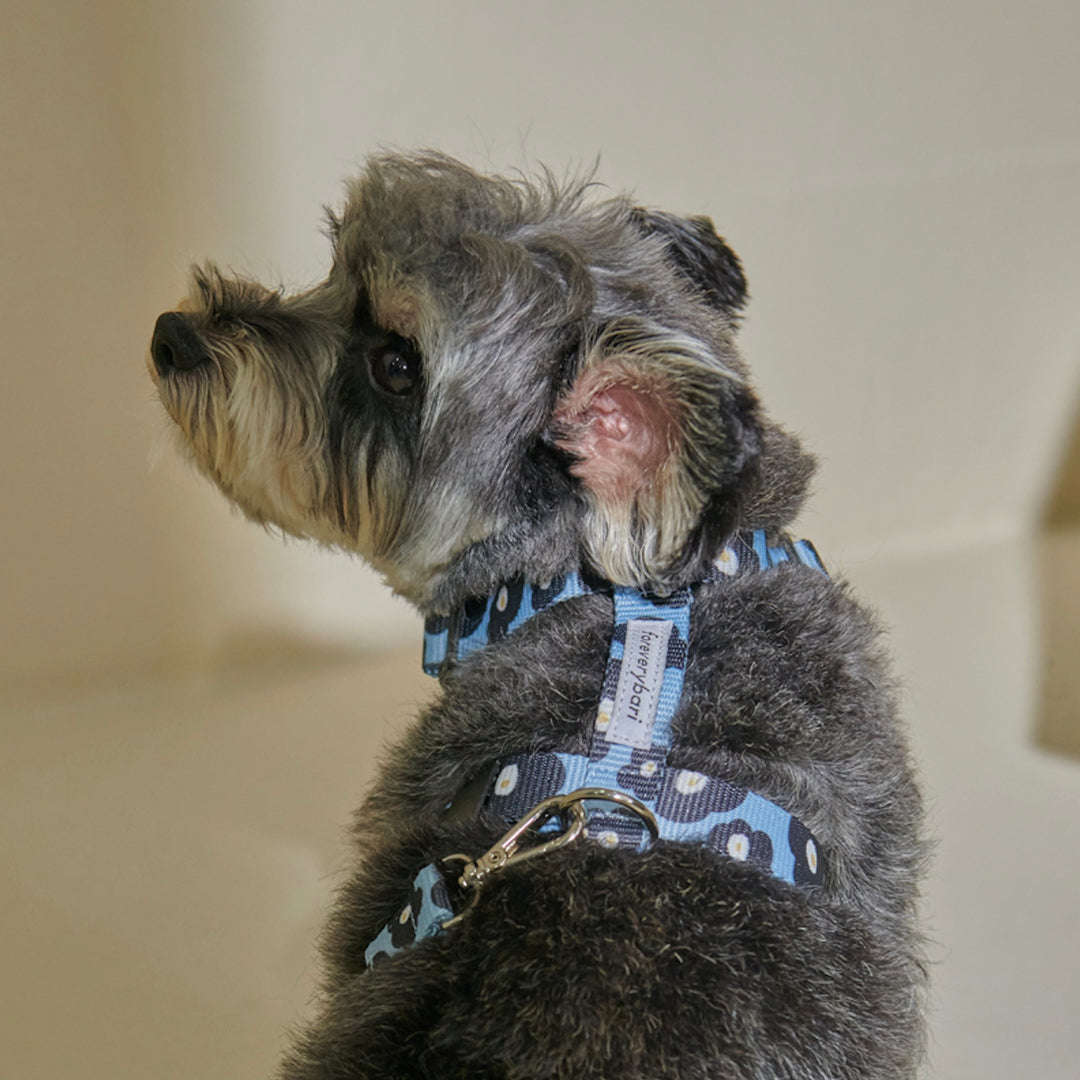 即納【foreverybari】PENSÉE Pet Harness（Blue）