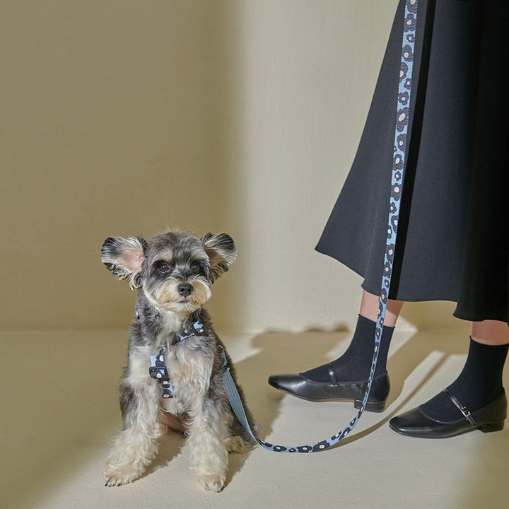 即納【foreverybari】PENSÉE Pet Harness（Blue）