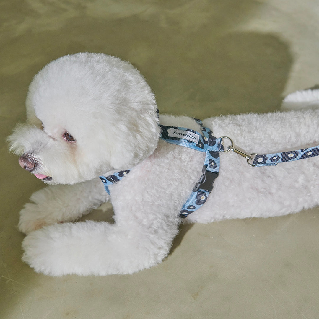 即納【foreverybari】PENSÉE Pet Harness（Blue）