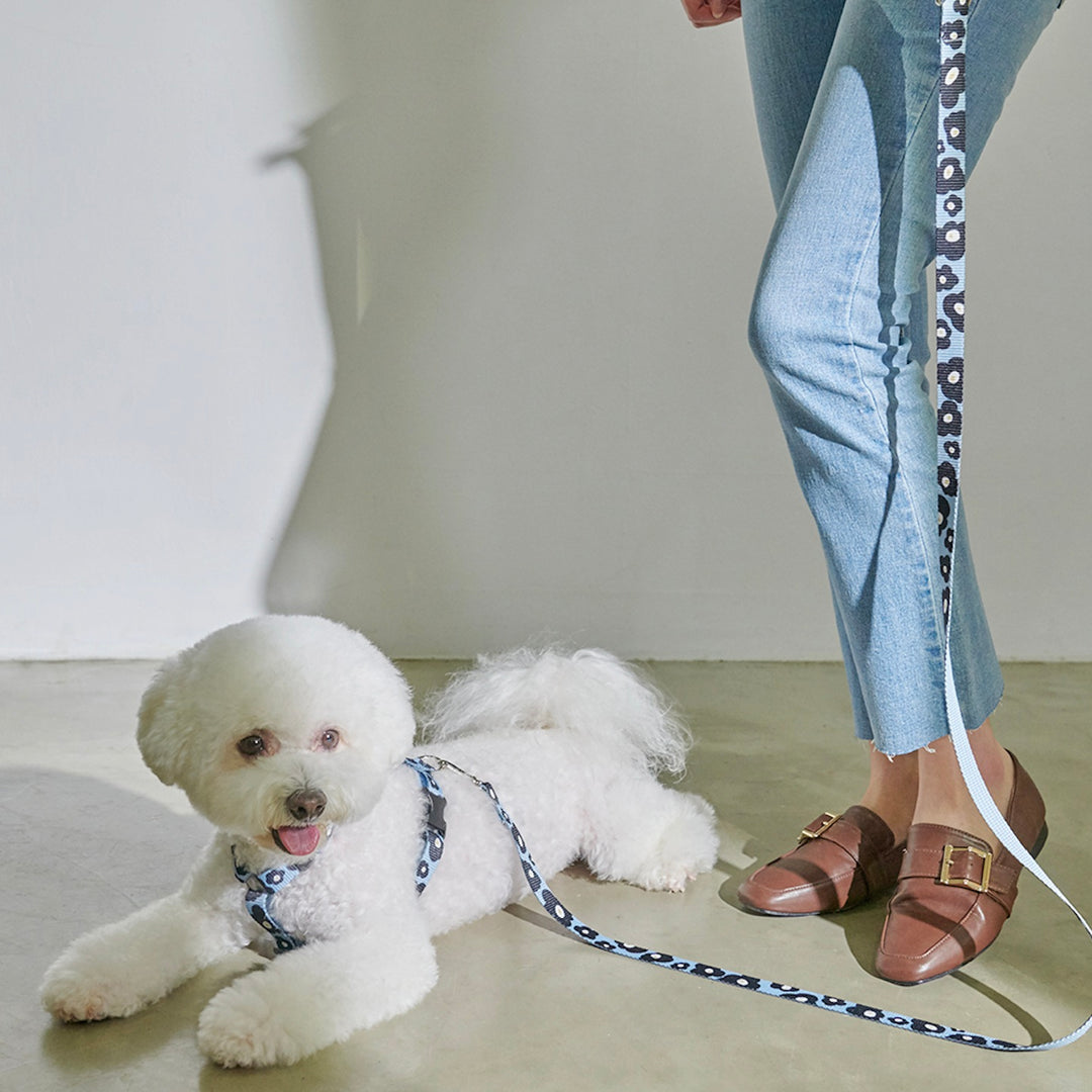 即納【foreverybari】PENSÉE Pet Harness（Blue）