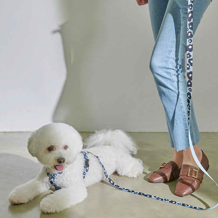 即納【foreverybari】PENSÉE Pet Harness（Blue）