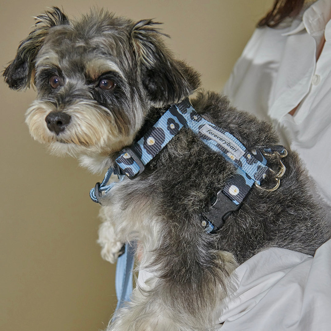 即納【foreverybari】PENSÉE Pet Harness（Blue）