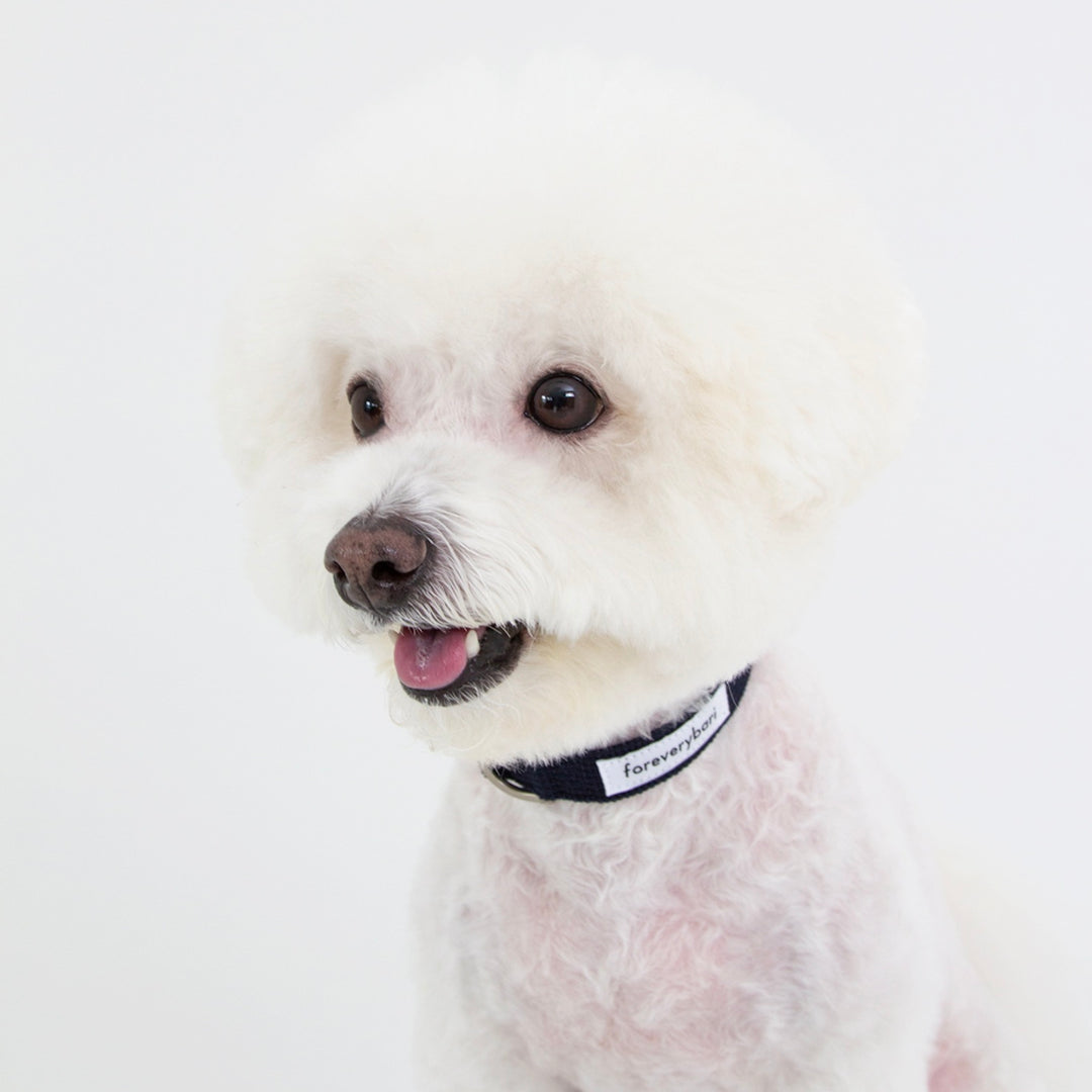※予約販売【foreverybari】Classic Pet Collar（Dark Navy）
