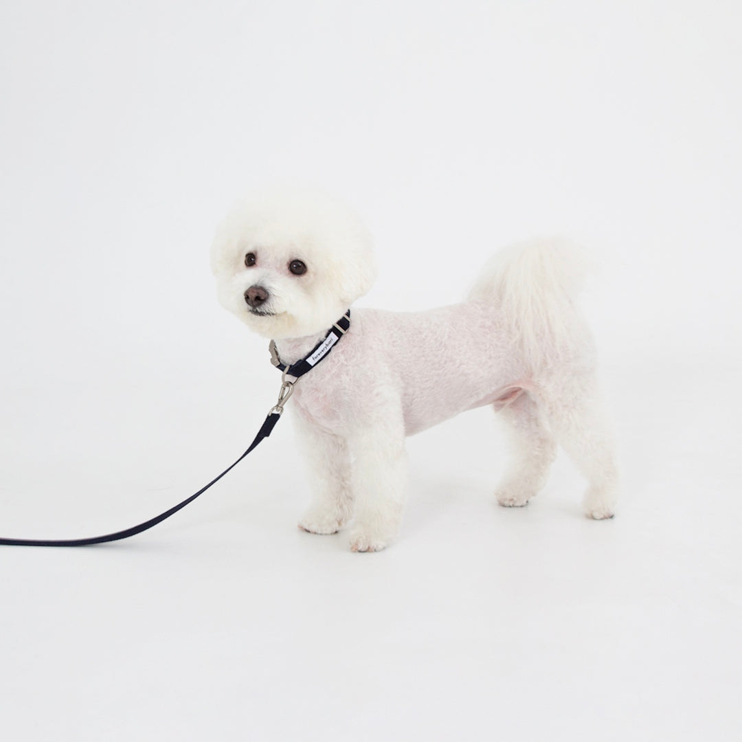 ※予約販売【foreverybari】Classic Pet Collar（Dark Navy）