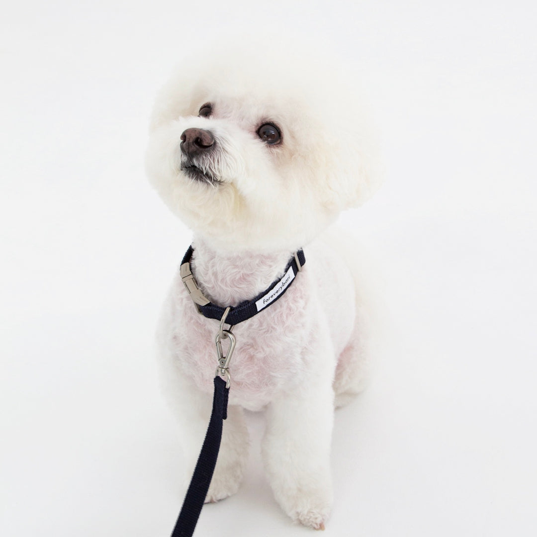 ※予約販売【foreverybari】Classic Pet Collar（Dark Navy）