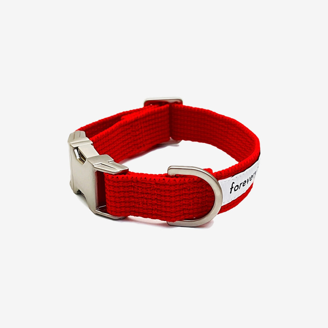 ※予約販売【foreverybari】Classic Pet Collar（Hot Red）