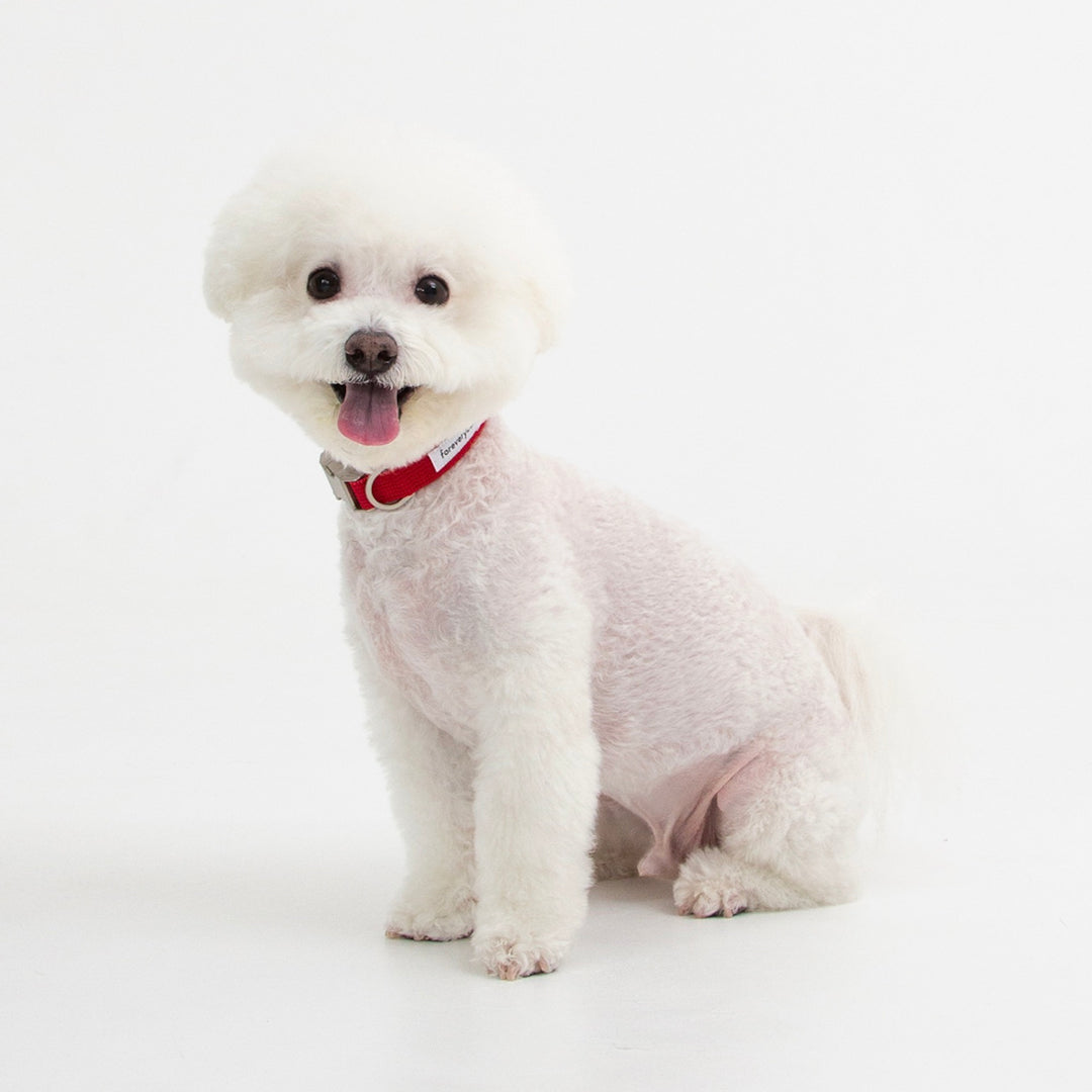 ※予約販売【foreverybari】Classic Pet Collar（Hot Red）