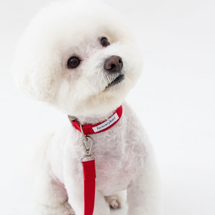 ※予約販売【foreverybari】Classic Pet Collar（Hot Red）