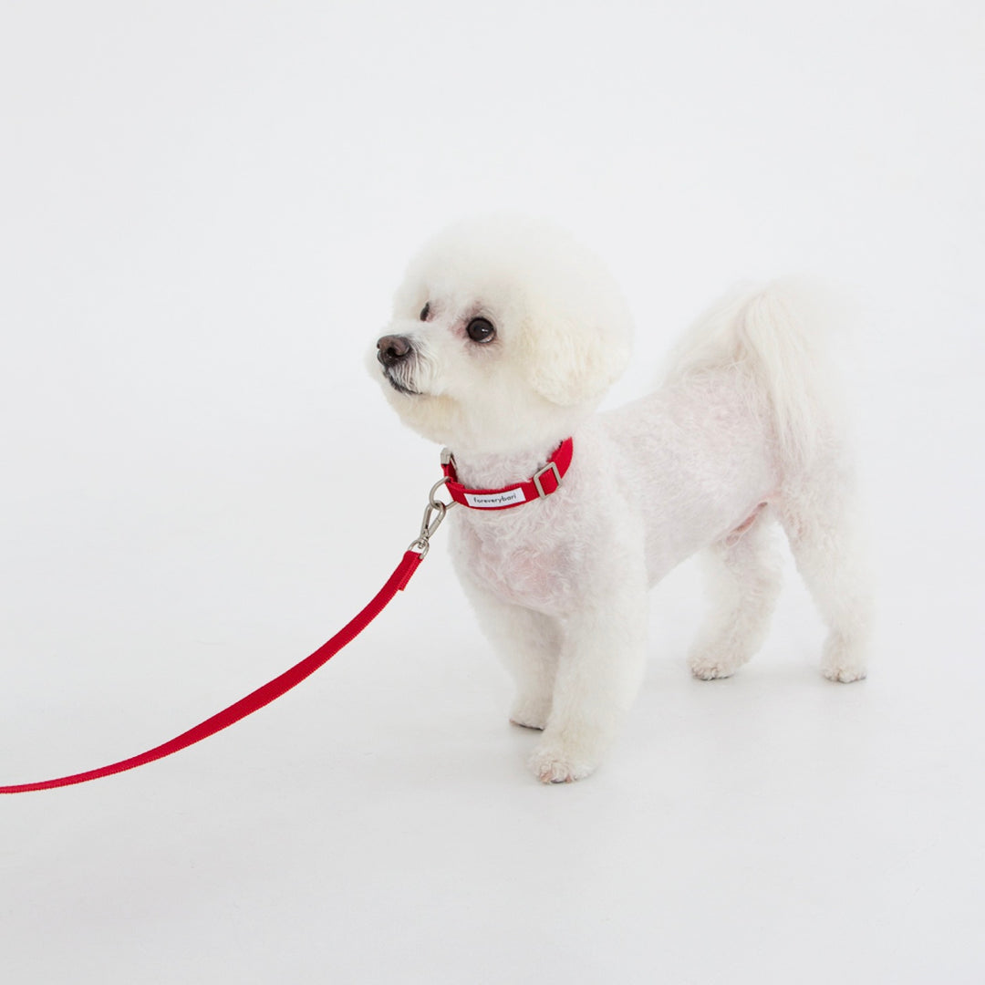 ※予約販売【foreverybari】Classic Pet Collar（Hot Red）