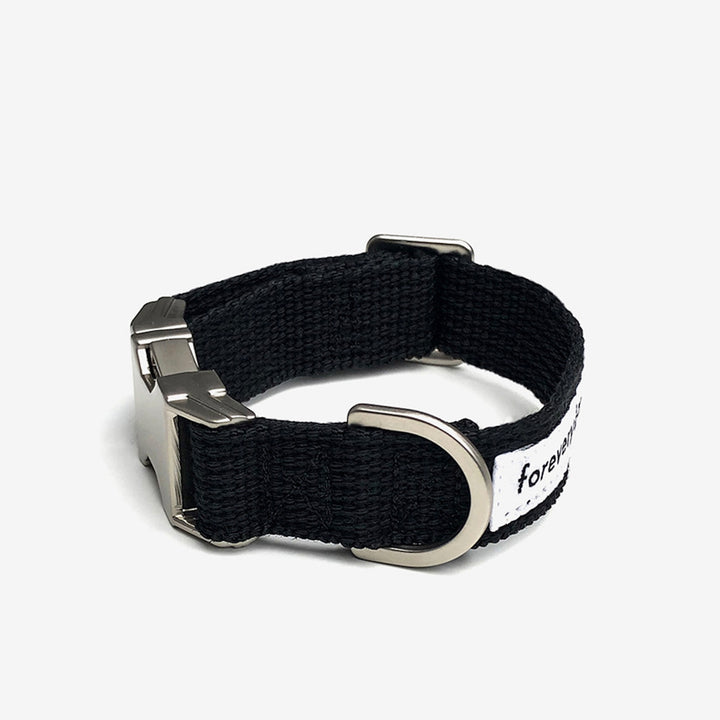 ※予約販売【foreverybari】Classic Pet Collar（Black）