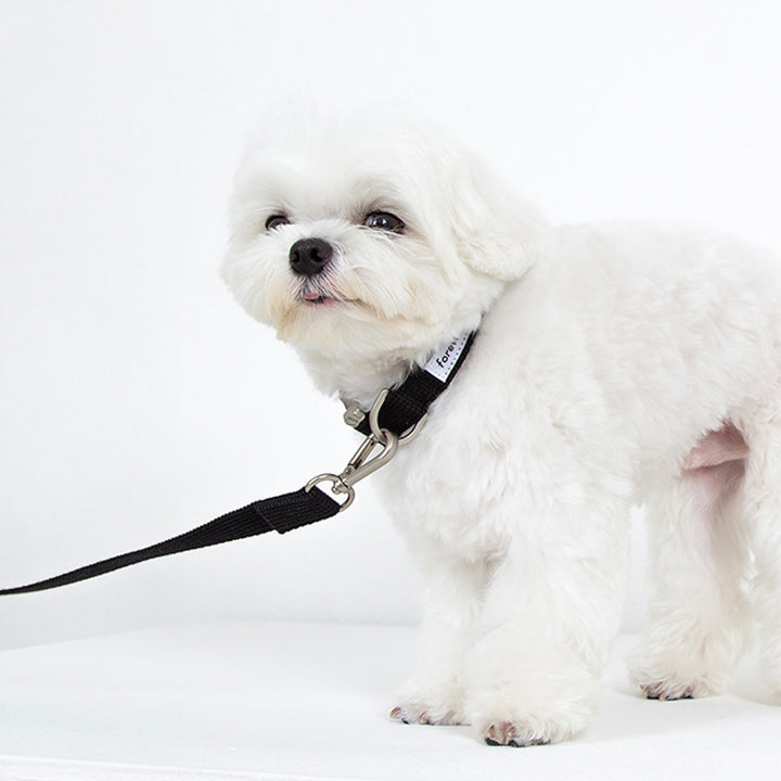 ※予約販売【foreverybari】Classic Pet Collar（Black）