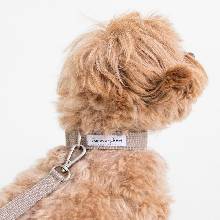 ※予約販売【foreverybari】Classic Pet Collar（Beige）