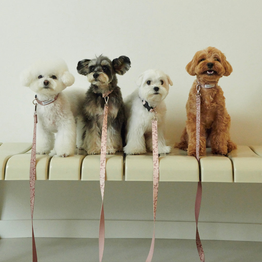 ※予約販売【foreverybari】Marble Heart Pet Collar（Chocolate）