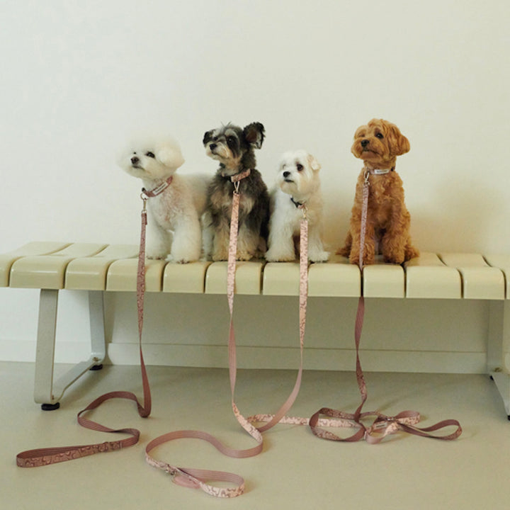 ※予約販売【foreverybari】Marble Heart Pet Collar（Chocolate）